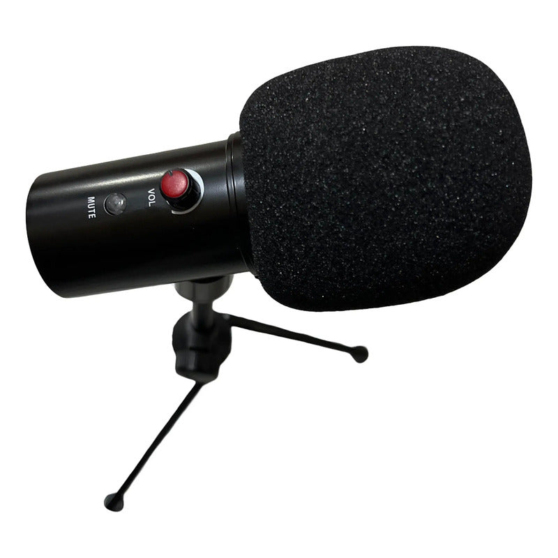 Micrófono Condenser Récord Studio Usb Genérico Negro