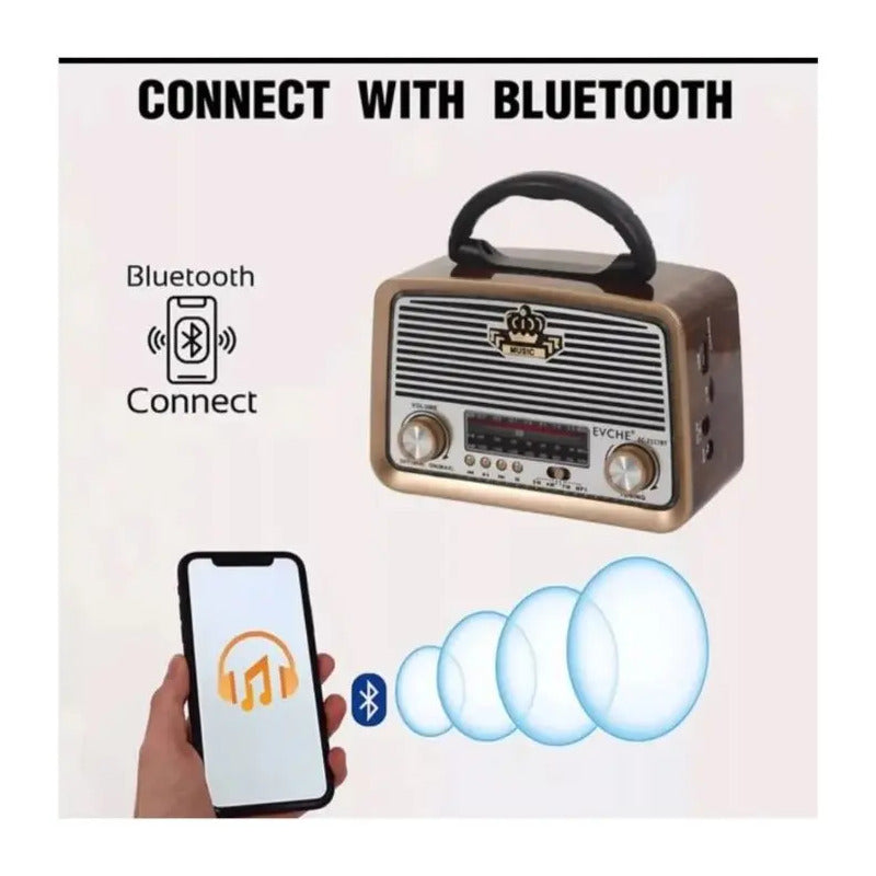 Radio Portátil Recargable Am Fm Sw Usb Tf Mp3 Irm-09027 Marrón