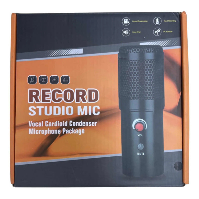 Micrófono Condenser Récord Studio Usb Genérico Negro