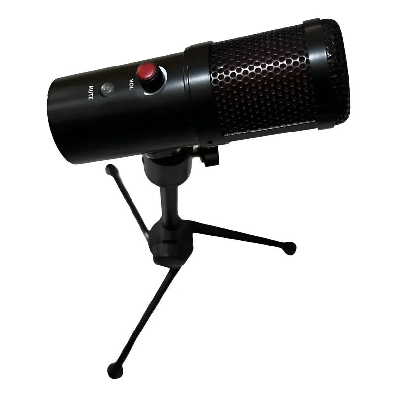 Micrófono Condenser Récord Studio Usb Genérico Negro